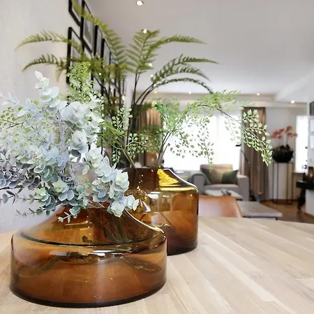 Goudkust 3 Apartment
