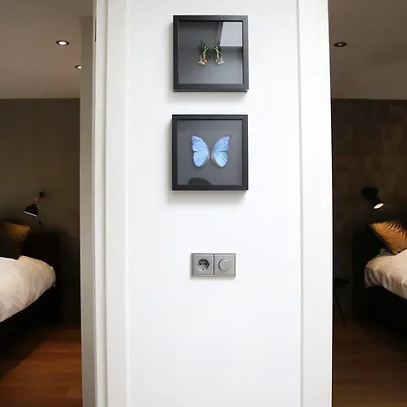 Apartman Goudkust 3